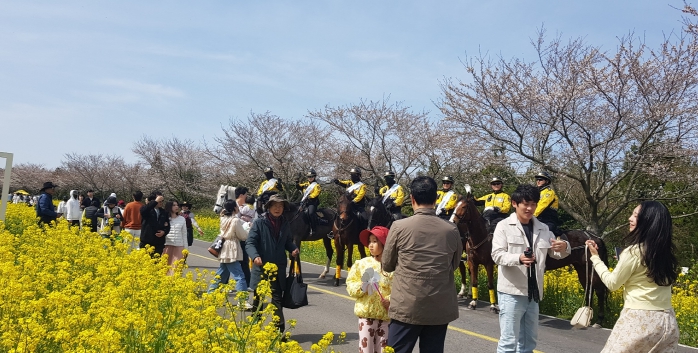 제주자치경찰기마대,'서귀포유채꽃축제'서 APEC 유치 홍보