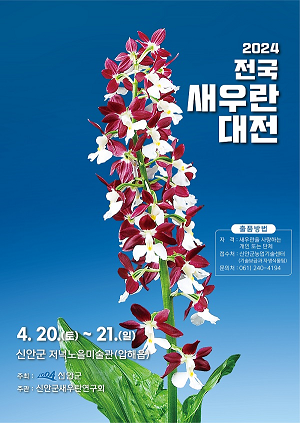 신안군! 전국 새우란(蘭) 대전 다가오는 4월 20일 개최
