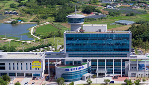 제2회 신안군 갯벌낙지 맨손어업 장인 선발대회 29일로 연기