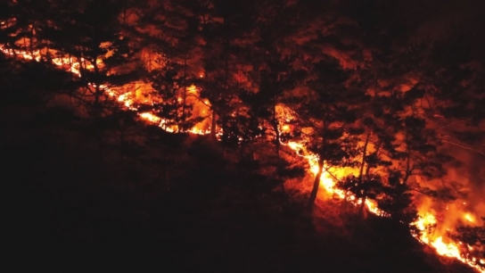 경북 초대형 산불, 사망자 27명… 전국적 복구 지원 총력