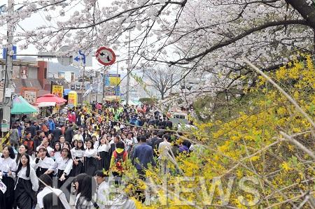 꽃피는유달산축제2.jpg