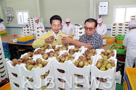 8월 9일 무화과 선별작업현장 방문.jpg