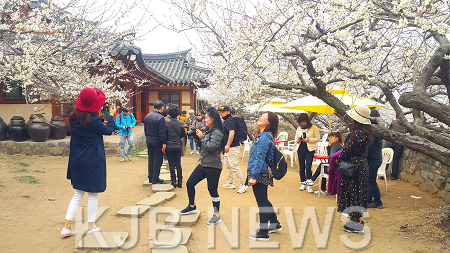 제21회 광양매화축제-관광과 (2).png