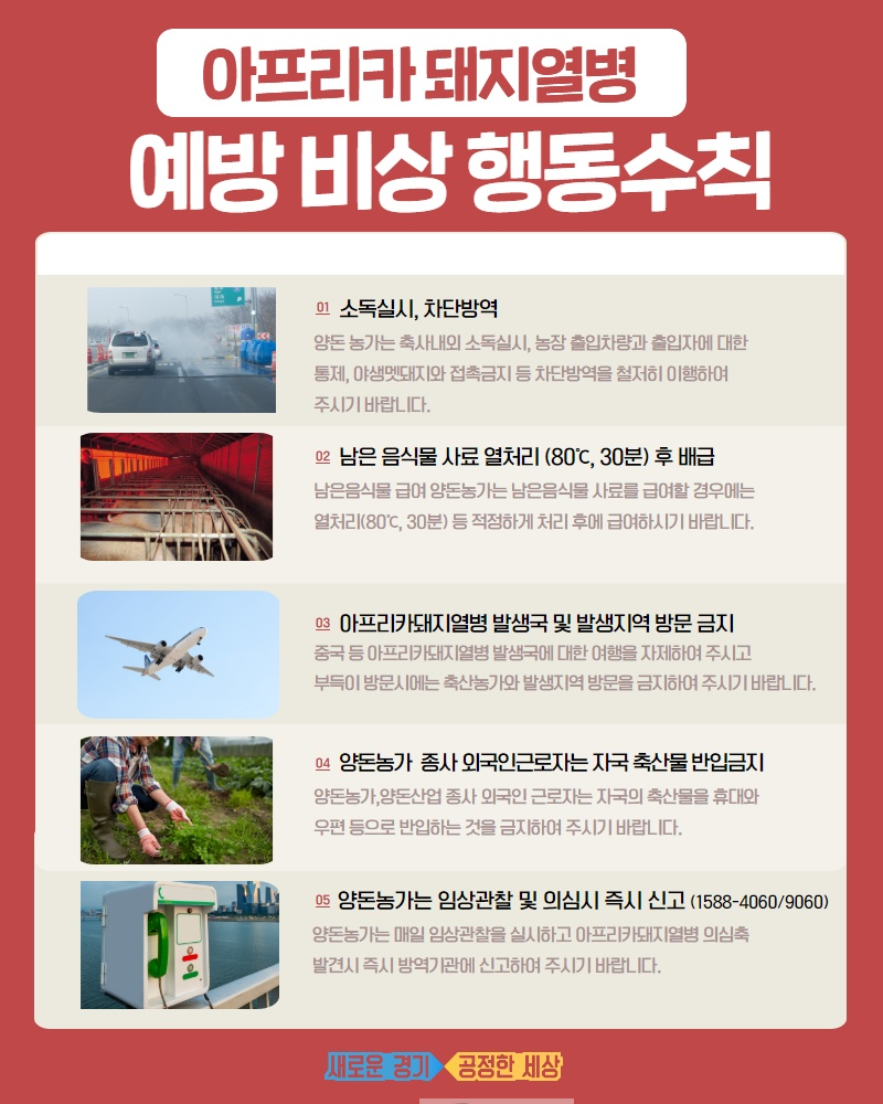 190917 돼지열병 예방수칙(모바일보도자료).png