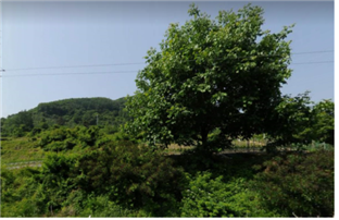 1.참고사진2(본+기사와+직접적인+관련은+없음).png