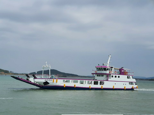 IMG_7335.png