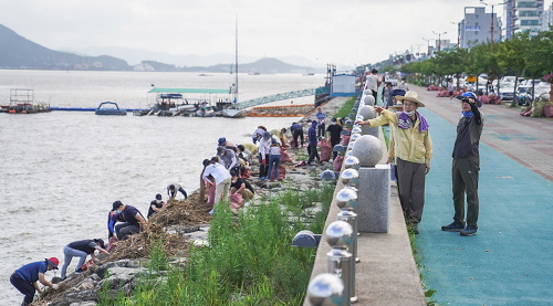 2-3. 목포시, 집중호우로 발생된 해양쓰레기 처리에 연일 총력(수거-평화광장).png