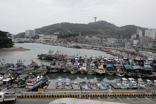 완도군, 12월 24일부터 30일까지 낚시어선 출․입항 통제.png