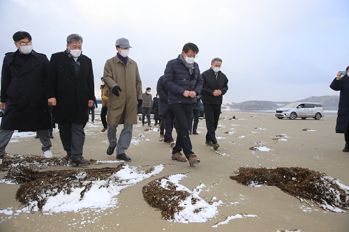 2021.01.17 자은면(양산해변) 괭생이 모자반 피해현장 방문(서삼석 의원) (40).png