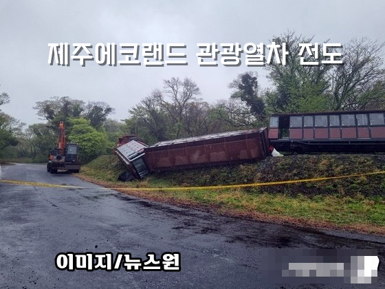에코사고.png